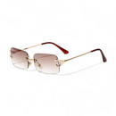 Gafas de sol Lioner
